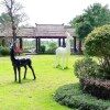 Отель Beihai shanruoju seascape holiday apartment, фото 15