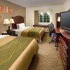 Отель Comfort Inn & Suites Airport Dulles - Gateway, фото 18