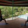 Отель The Golden Frog Inn, фото 27