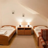 Отель Malom Panzió, фото 5