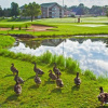 Отель King Condo at Holiday Hills, фото 23