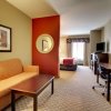 Отель Comfort Suites Biloxi - Ocean Springs, фото 4