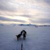 Отель Svalbard Hotell - The Vault, фото 12