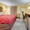 Отель Econo Lodge, фото 22