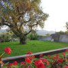 Отель Villa Dionysia Zakynthos, фото 1
