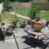 Отель The Rose Petal Inn, фото 10