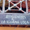 Отель Iguana Loca Hostel, фото 16