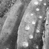 Отель Seaside Vacation Rental 4Tuna, фото 12