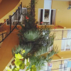 Отель Guest House on Rustaveli 205, фото 5