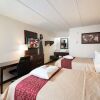 Отель Red Roof Inn PLUS+ St Louis - Forest Park/ Hampton Ave, фото 14