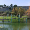Отель 最上泉-溫泉民宿, фото 3