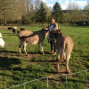 Отель Camping La Ferme de Perdigat, фото 23