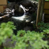 Отель Hanasato, фото 23