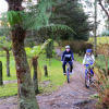 Отель Bangalôs da Serra, фото 35