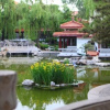 Отель Shungeng Hillview Hotel, фото 19