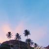 Отель Villa Halcyon Cabo Verde Close to the Beach, фото 13