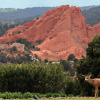 Отель Lodge at Garden of the Gods Club, фото 30