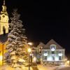 Отель Brauereigasthof & Hotel Maierbräu, фото 35