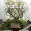 Отель Sanjianyuan Hotel, фото 11