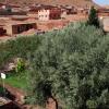 Отель Kasbah Hotel Essalam, фото 4