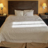 Отель Hampton Inn & Suites-Knoxville/North I-75, фото 6