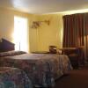 Отель Lamplighter Motel, фото 5