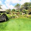 Отель Tiny House in Authentic Japanese Koi Garden in Florida, фото 1