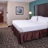Отель Holiday Inn Express Hotel & Suites Youngstown (North Lima/Boardman), фото 5