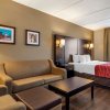 Отель Comfort Inn & Suites near Six Flags, фото 37