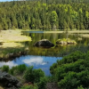Отель Mountain Apartment in Bad Kotzting, фото 14