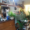 Отель Garden, фото 9
