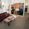 Отель Fawn Valley Inn: 226 1 Bedroom Condo, фото 3