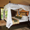 Отель Mara Ngenche Safari Camp, фото 15