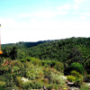 Отель Woodlands Self Catering, Knysna, фото 7