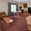 Отель Holiday Inn Express Hotel & Suites Manteca, an IHG Hotel, фото 4