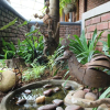 Отель Magoebaskloof Mountain lodge, фото 31