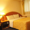 Отель Oriental Hotel, фото 3