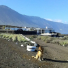 Отель Studio In Frontera - Valle Del Golfo, With Wonderful Sea View, Enclosed Garden, фото 24