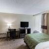 Отель Quality Inn & Suites, фото 43