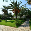 Отель Villa Olive, фото 6