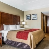 Отель Comfort Inn Pittsburgh, фото 6