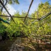 Отель Villa Ado in Sorrento, фото 15