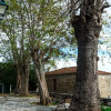 Отель Dandy Villas Vintage Cottage House - Pelion, фото 33