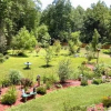 Отель Rock Laurel Bed and Breakfast, фото 6