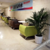 Отель Damei International Hotel, фото 17