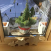 Отель Ferienwohnung Milchgaessli, фото 6
