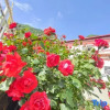 Отель Huajianji Courtyard Home stay, фото 12