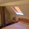 Отель Pensiunea Liana, фото 4