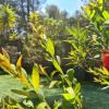Отель Jardin Privé ds le Centre de Cassis - Parking - Plage à 500m, фото 10