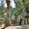 Отель Bill Cody Ranch, фото 32